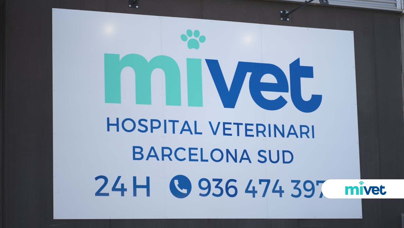 veterinaria Viladecans
